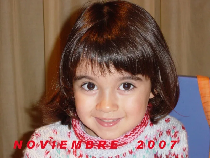 Calendario de noviembre de 2007